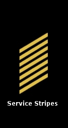 Service Stripes; One for each four years of service.
