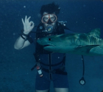 Another diving shot, 1984